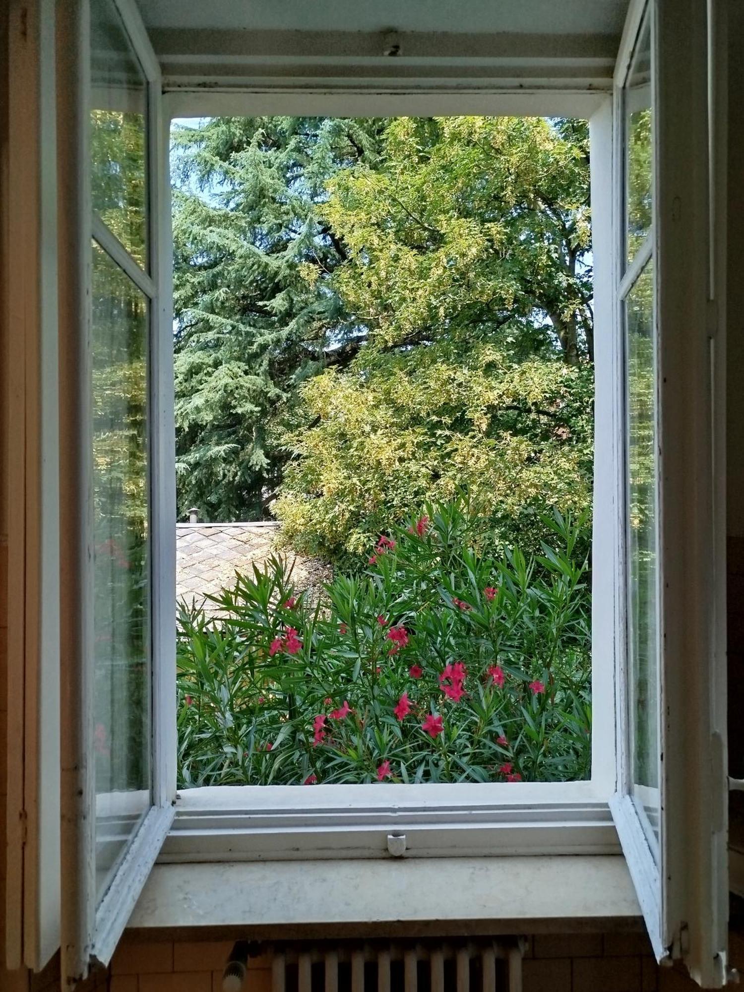 Del Nobile Apartment Турин Екстер'єр фото